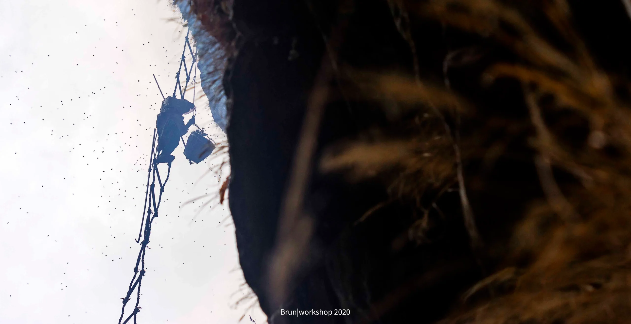 From Comb to Collection