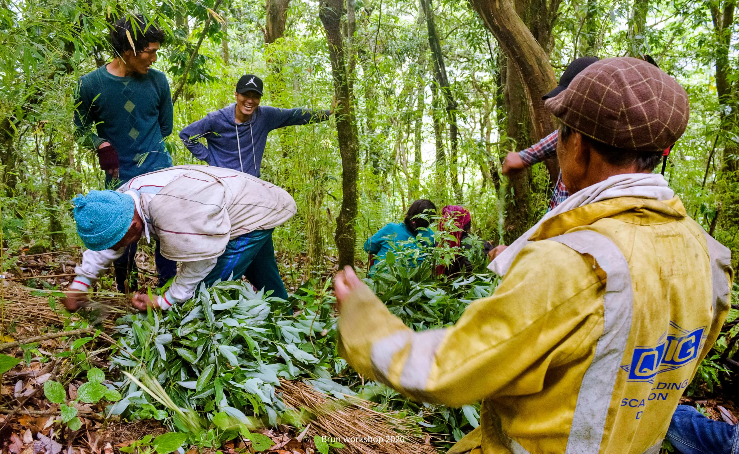 The People Who Climb