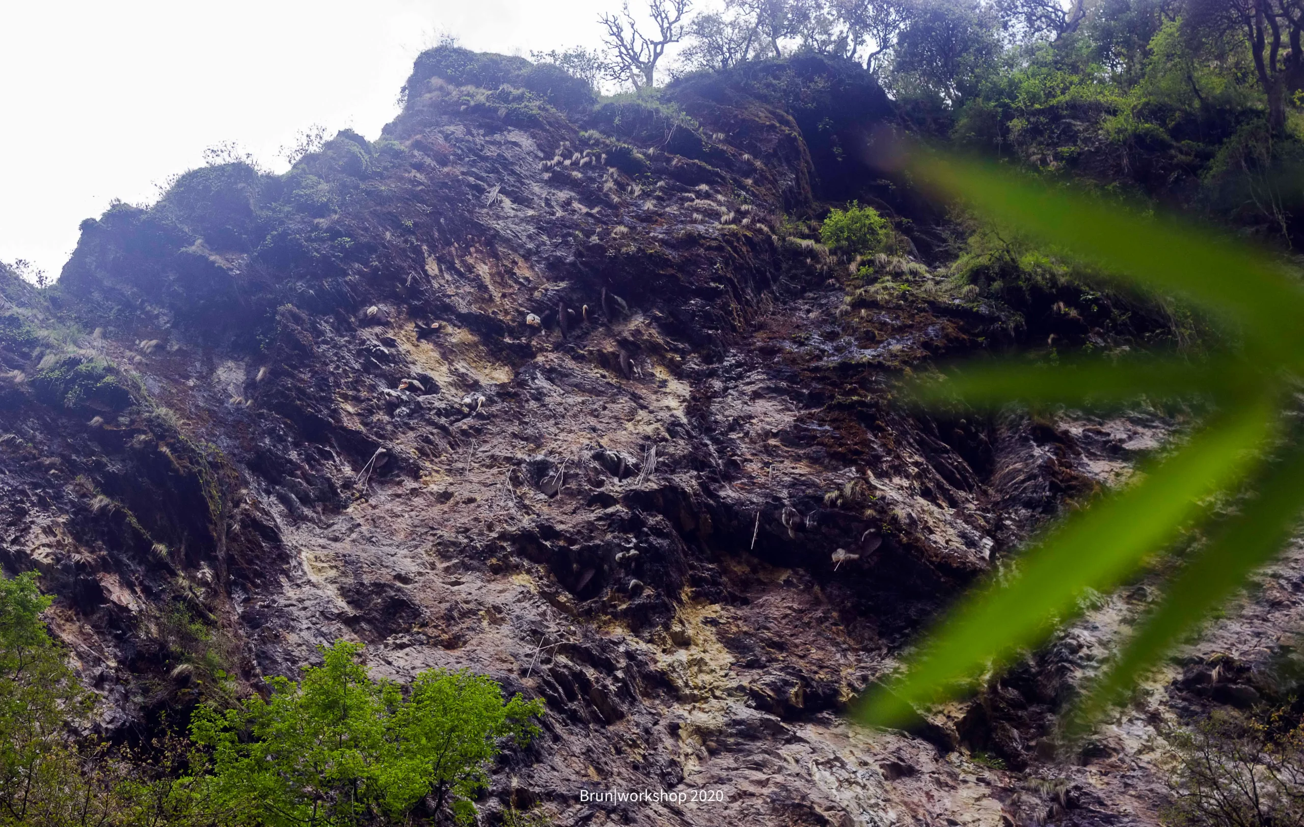 The World Behind the Honey