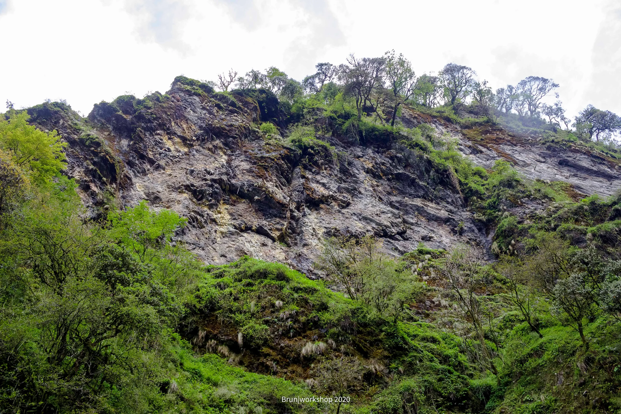 The World Behind the Honey