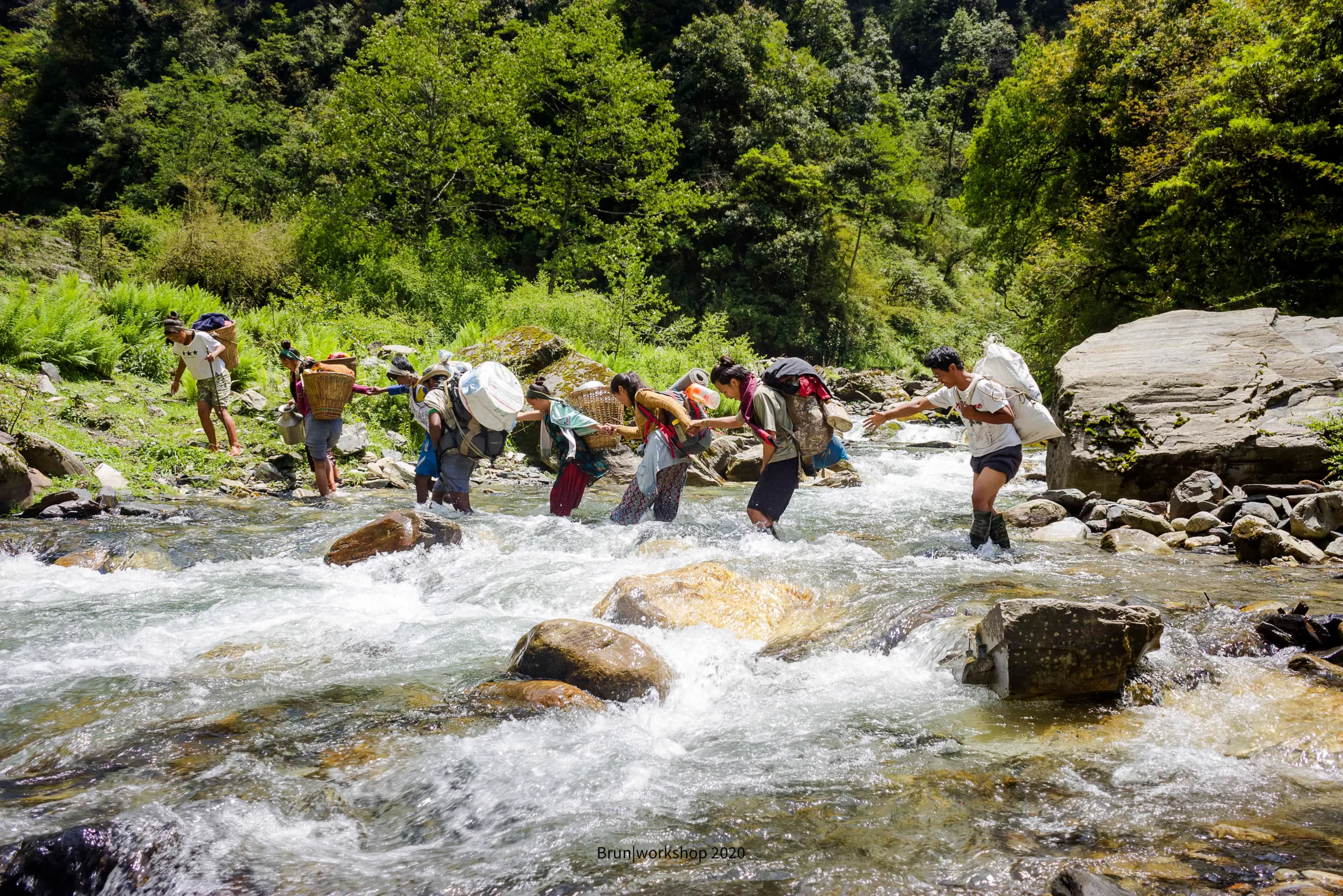 The World Behind the Honey