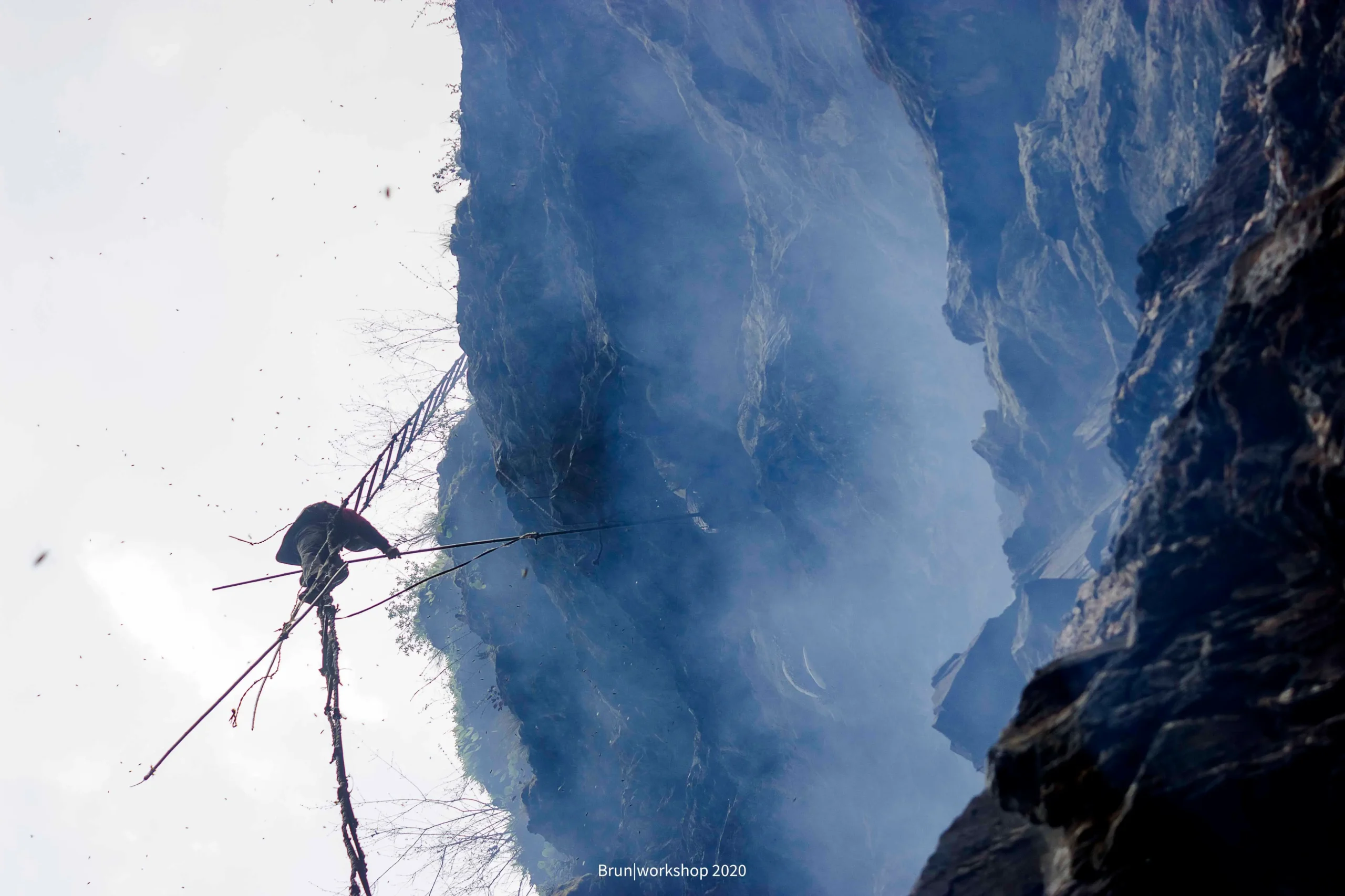 From Comb to Collection