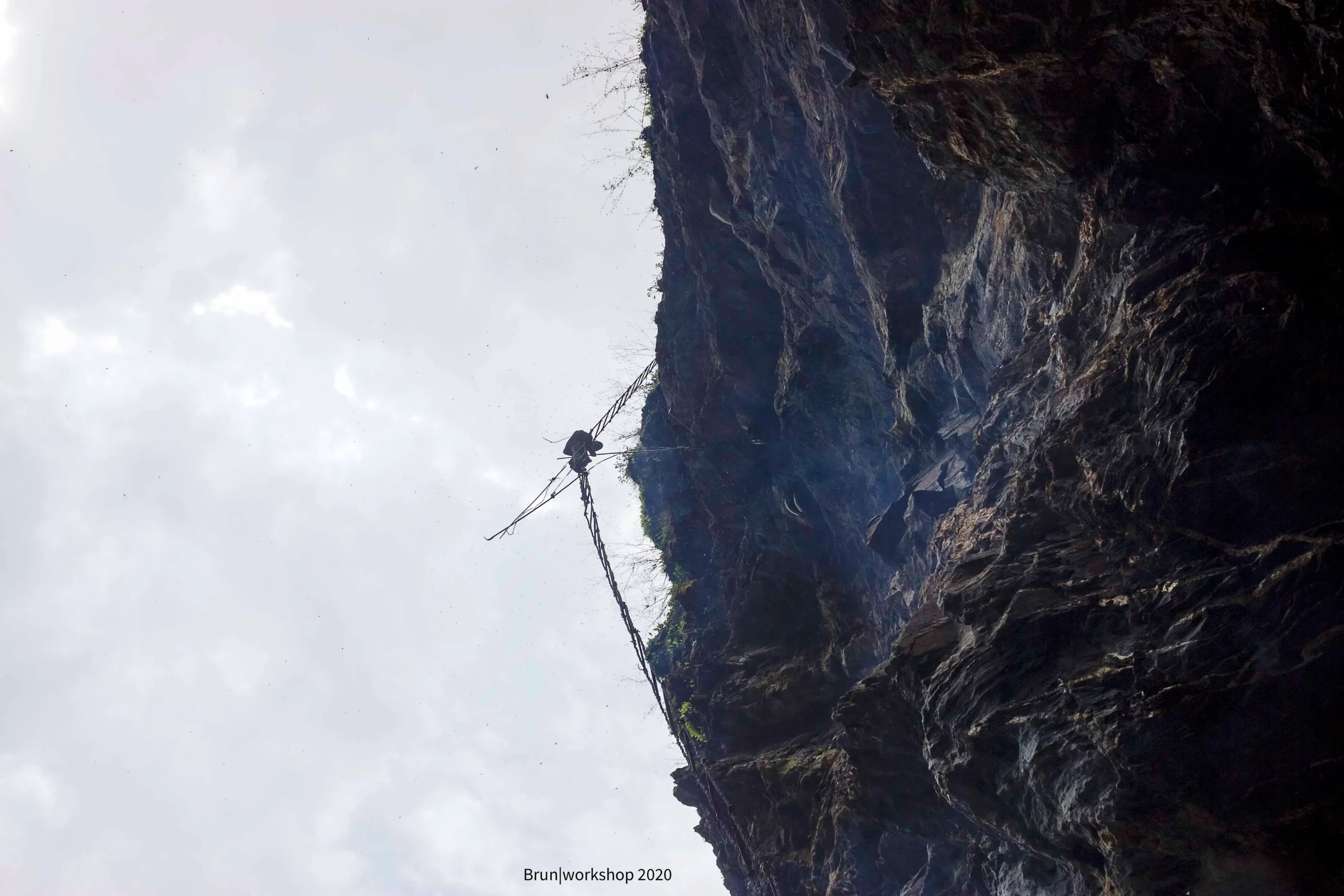 From Comb to Collection