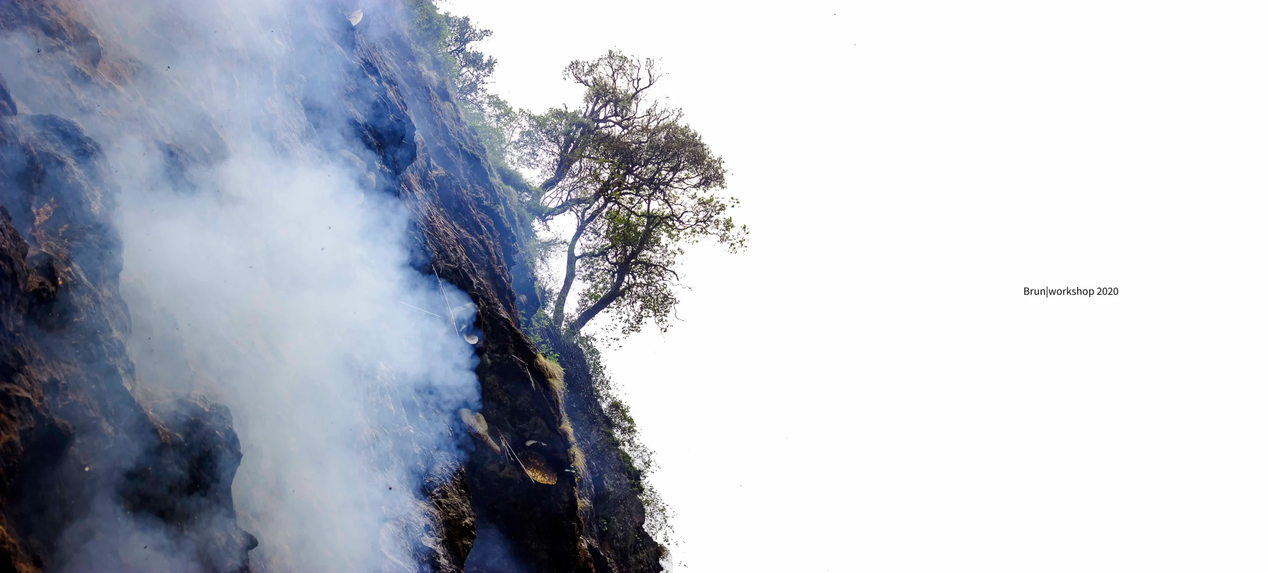 From Comb to Collection