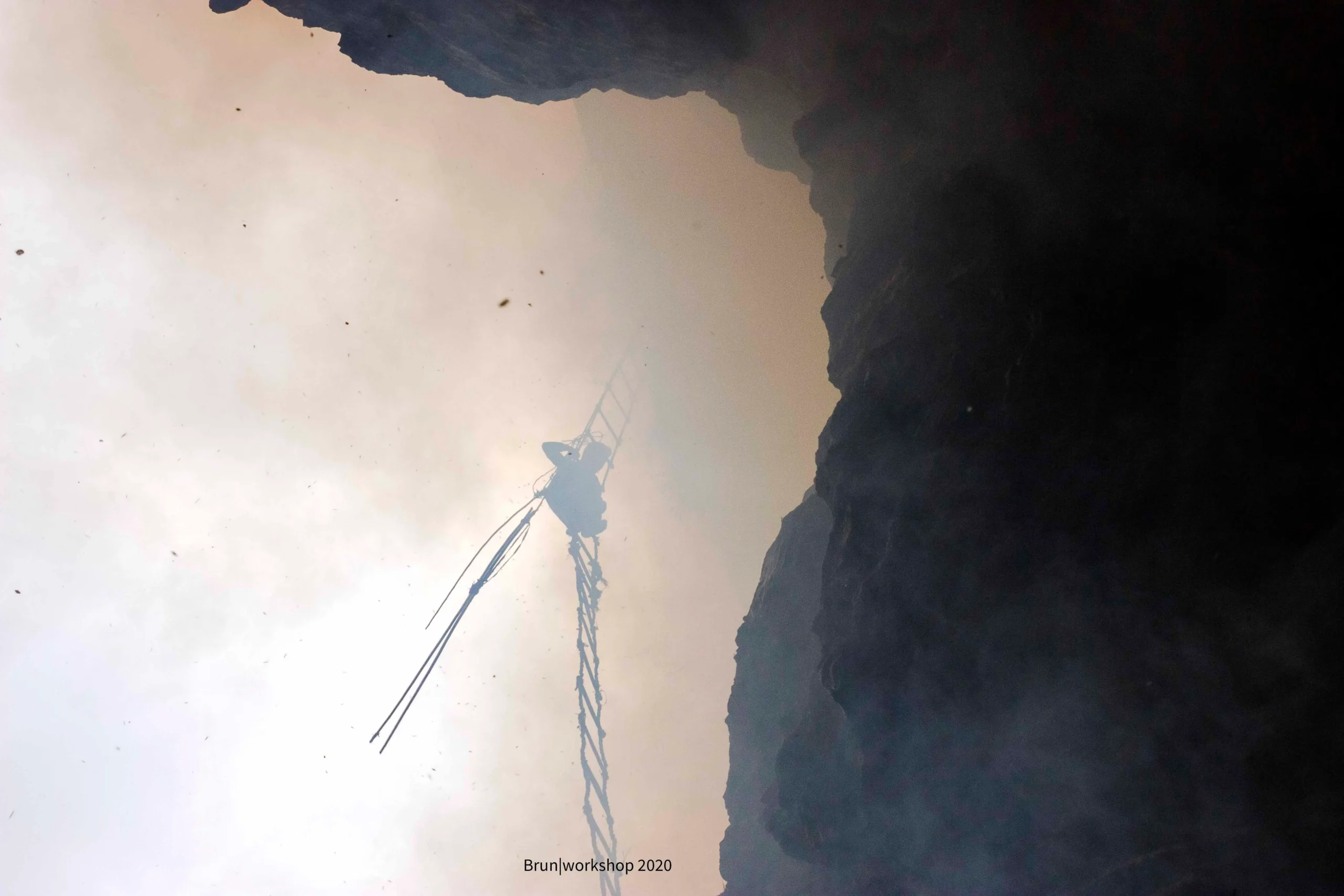 From Comb to Collection