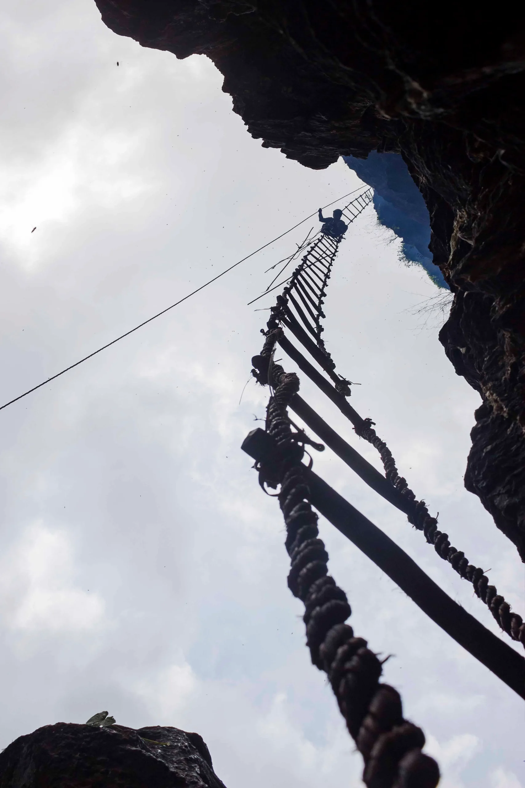 From Comb to Collection