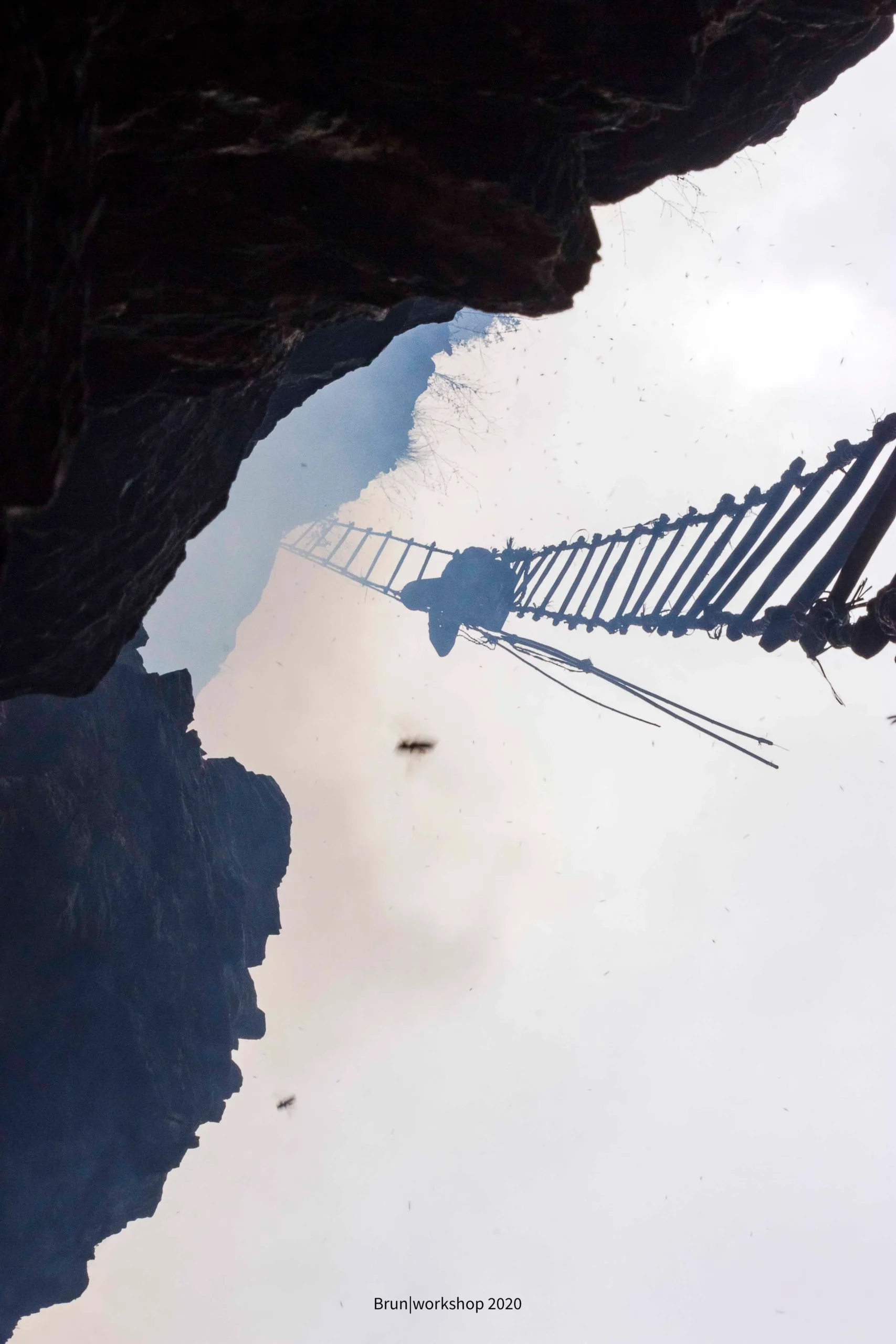 From Comb to Collection