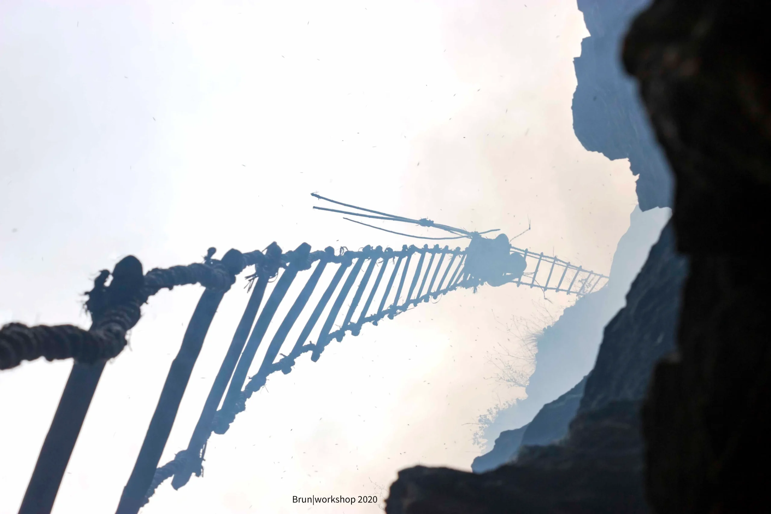 From Comb to Collection