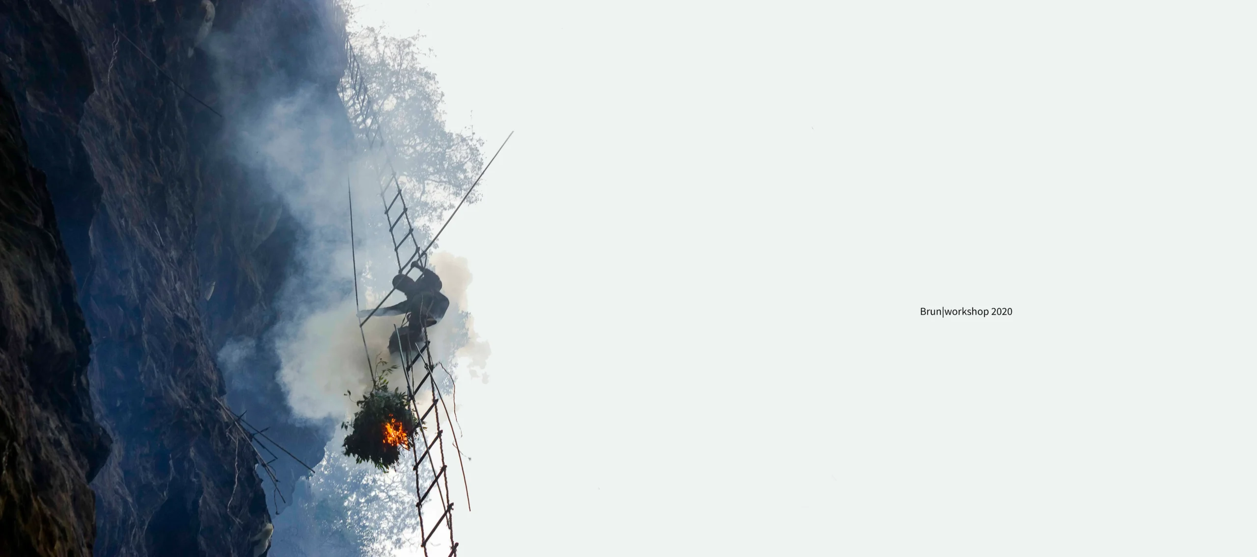 From Comb to Collection