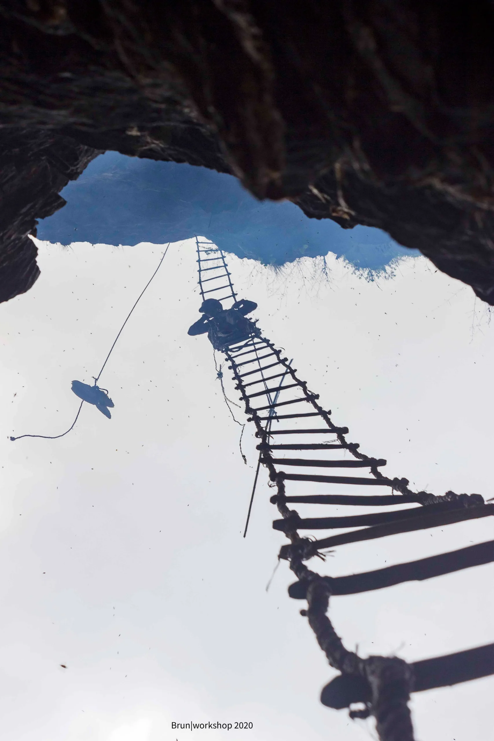 From Comb to Collection