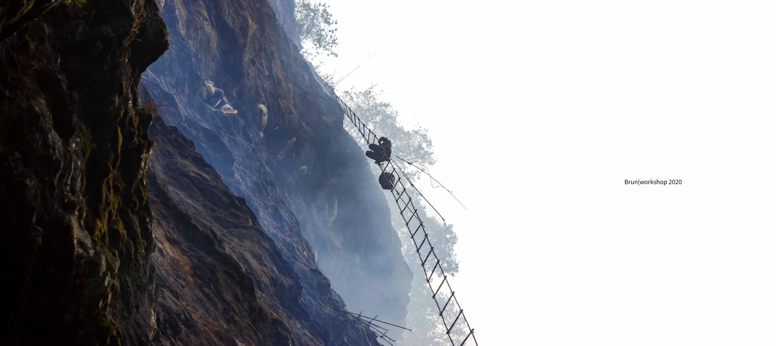 From Comb to Collection