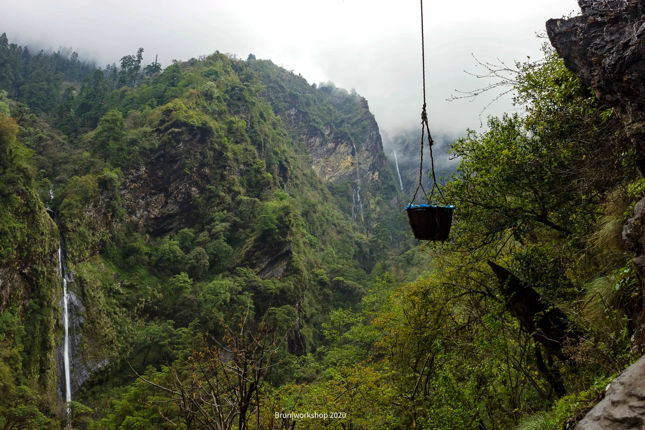 From Comb to Collection