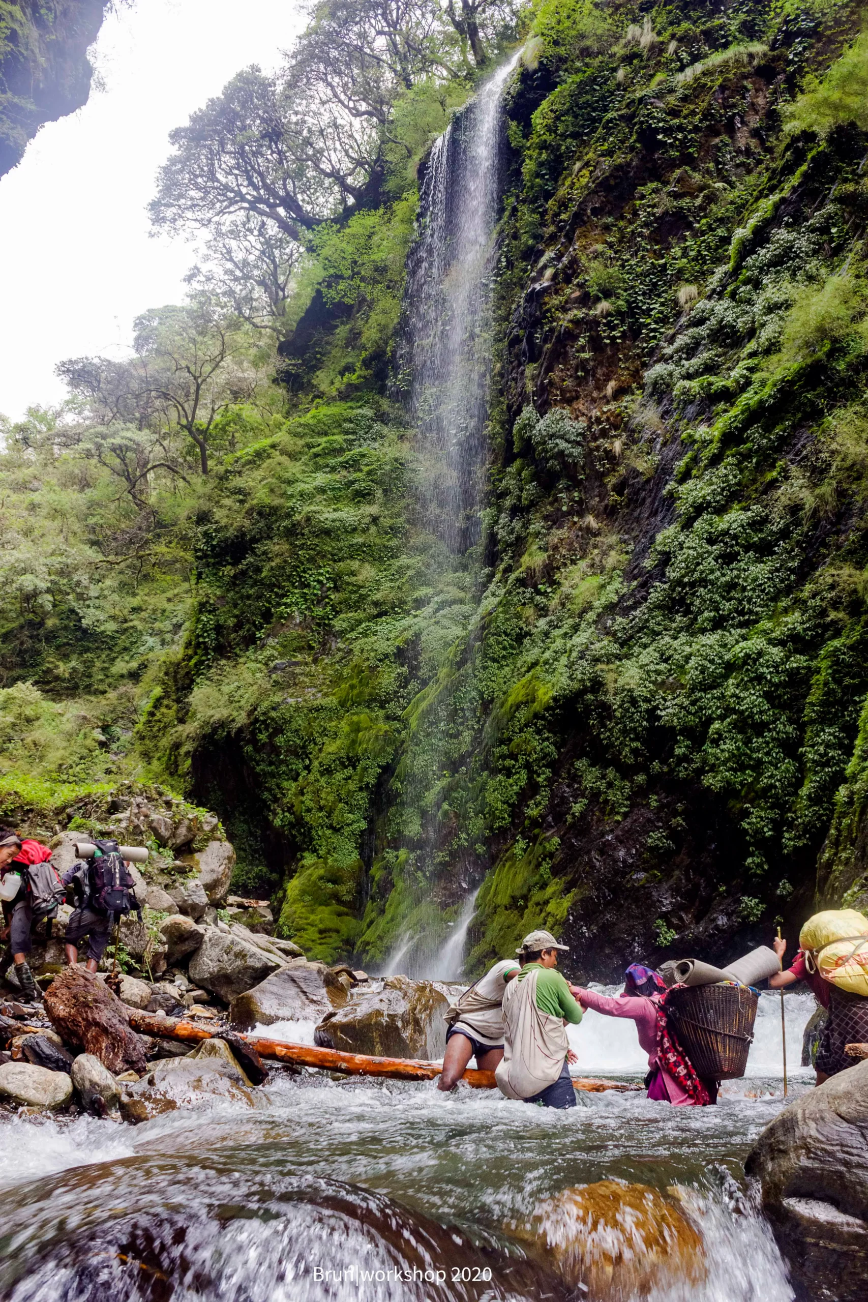 The World Behind the Honey